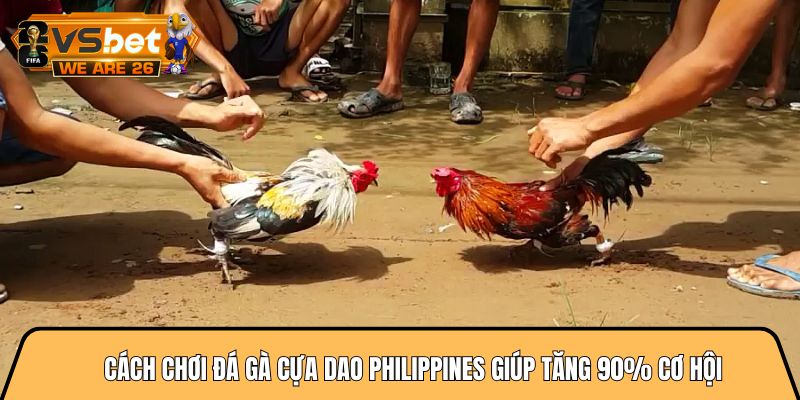 Cách chơi đá gà cựa dao philippines giúp tăng 90% cơ hội 4 Cách chơi đá gà cựa dao philippines